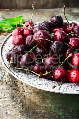 juicy and fresh berries