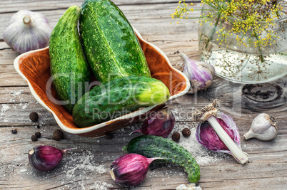 salted cucumber