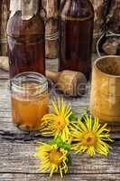 Elecampane tincture