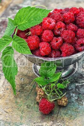 raspberries