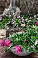 Milk thistle flower