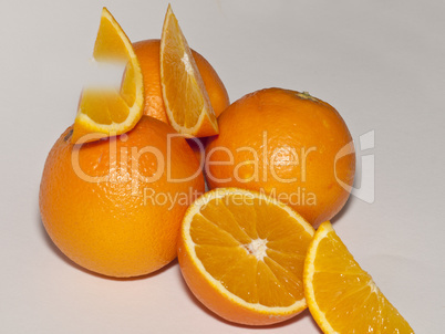 Orangen Früchte