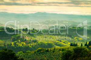 Fields in Tuscany