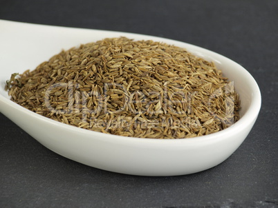 Cumin echter Kreuzkümmel