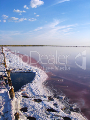 landscape with salty sea in Sivash