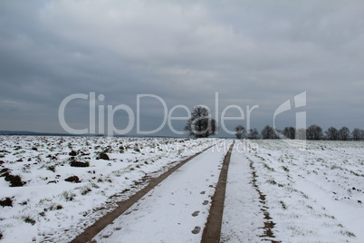 Winter landscape