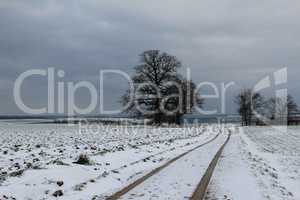 Winter landscape