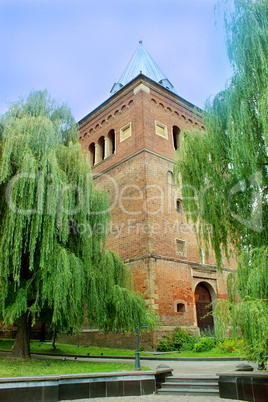 castle surounded by the willows in Drohobych