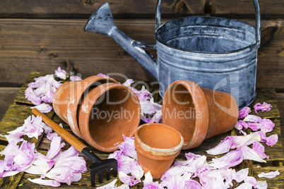 Stilleben mit Blumentopf, still life with flower pot