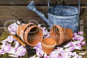 Stilleben mit Blumentopf, still life with flower pot