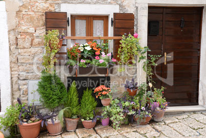 Blumenfenster in Bale, Istrien, Kroatien Blumenfenster in Bale, Istrien, Kroatien