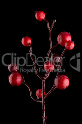 Red Christmas decoration branches