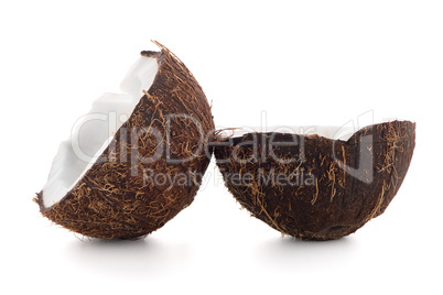 Coconut