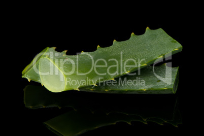 Sliced aloe leaf