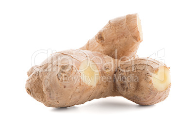 Ginger root on white