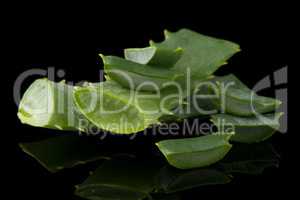 Sliced aloe leaf