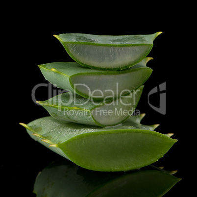 Sliced aloe leaf