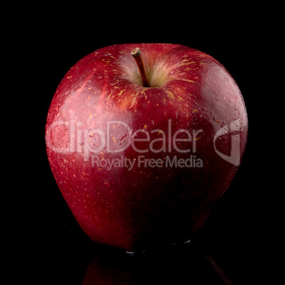 Fresh red apple