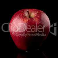 Fresh red apple