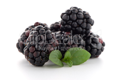 Blackberries with leaves