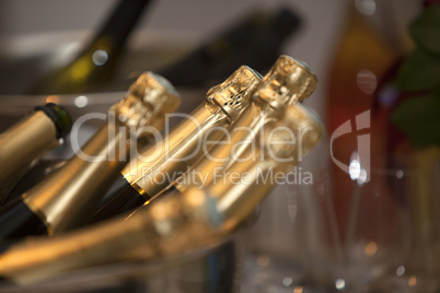 Champagne bottles