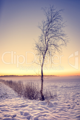 winter landscape with color look
