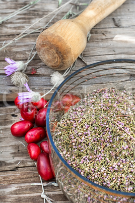 Cornel berries with herbaceous medicinal shrub