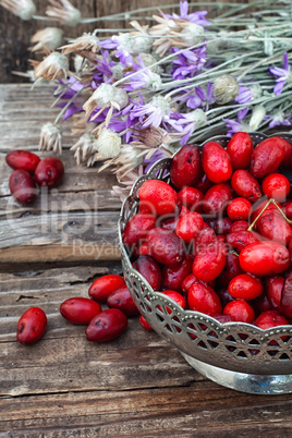 Cornel berries with herbaceous medicinal shrub