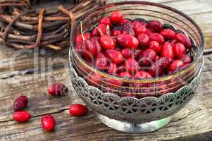 Cornel berries with herbaceous medicinal shrub