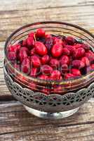 Cornel berries with herbaceous medicinal shrub