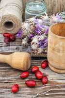 Cornel berries with herbaceous medicinal shrub