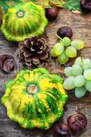 still life with autumn squash