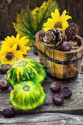 still life with autumn squash