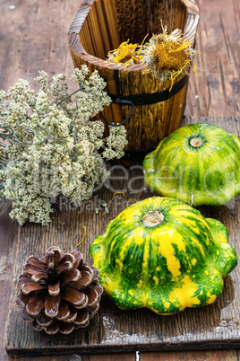 still life with autumn squash