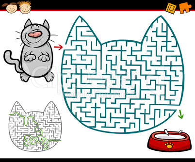 maze or labyrinth task