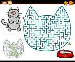 maze or labyrinth task