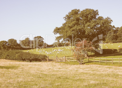 View of Tanworth in Arden vintage