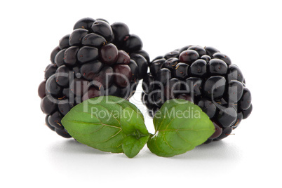 Blackberries with leaves