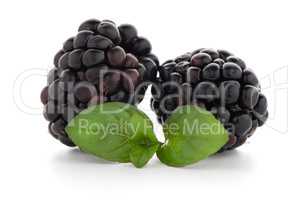 Blackberries with leaves