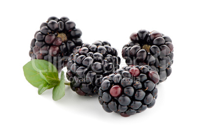 Blackberries with leaves