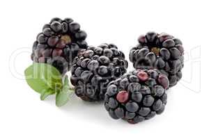 Blackberries with leaves