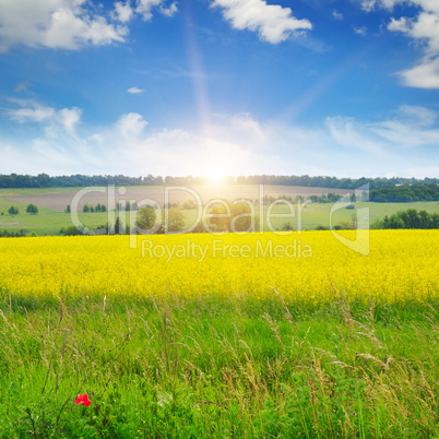 field, sunrise and blue sky