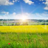 field, sunrise and blue sky