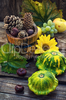 Autumn still life with squash