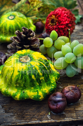 Autumn still life with squash