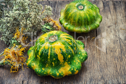 harvest squash