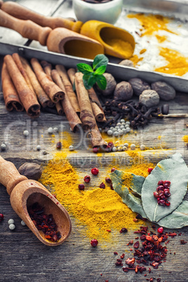 Still life with spices and herbs