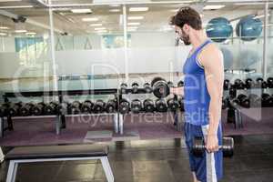 Muscular man lifting dumbbell