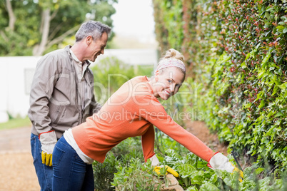 Cute couple doing some gardening