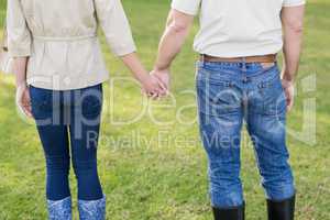 Cute couple holding hands